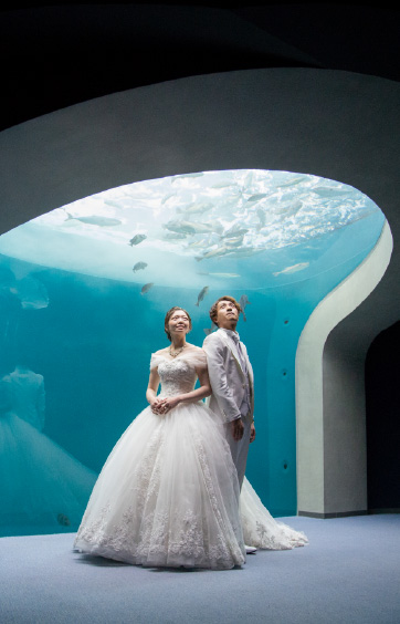 ロケフォトウエディング3